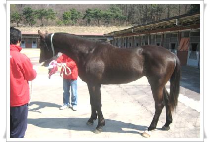 ��ȭ�� ����