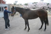 �󼱾�� (SANGSEONYAKSU) ����