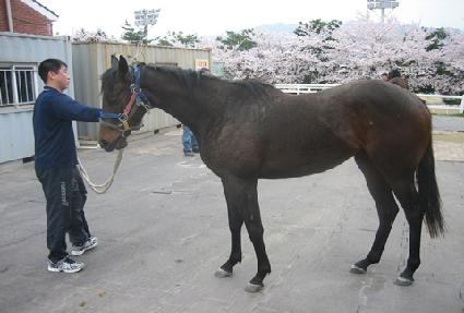 �󼱾�� ����