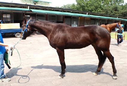 ������ ����