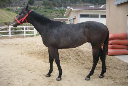 �λ�� ����