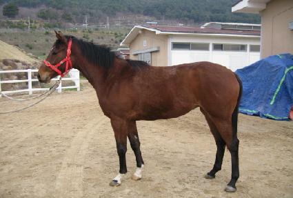 ����������Ʈ ����