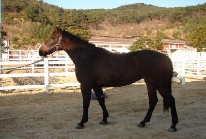 ��¯ ����