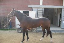 �ݾ߿뼱 (BANNYAYONGSEON) ����