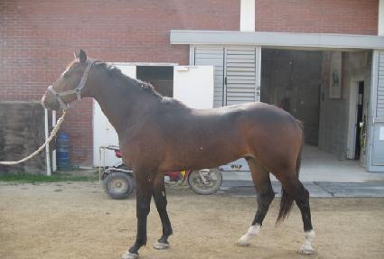 �ݾ߿뼱 ����