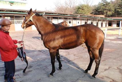 ���� ����