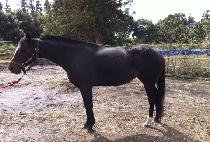 ALL BLESSINGS picture