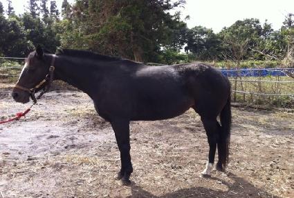 �ú������� ����