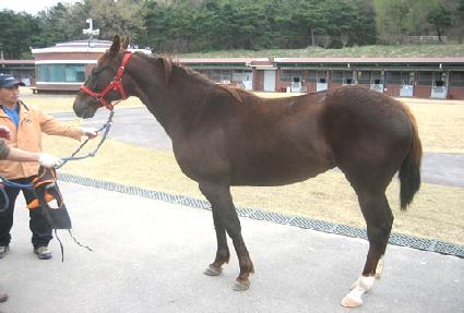 ��Ĳ��Ĳ ����