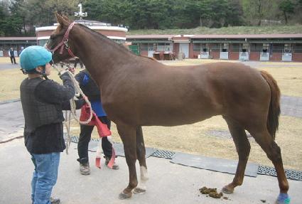 ��������� ����