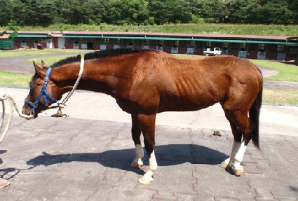 ���Ư�� ����