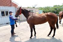 �ٷγ� (BARONEO) ����