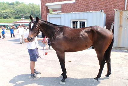 ������ ����