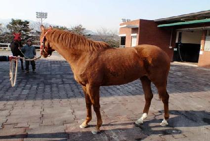 ����Ʈ��Ƽ ����