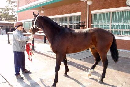 ����� ����