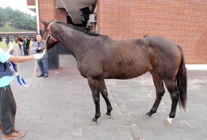 �������� ����