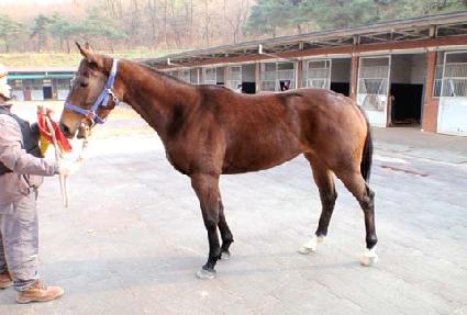 ���ʷ� ����