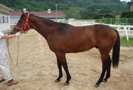 �λ������� ����