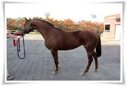 ��ȭ�� ����