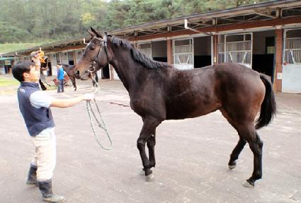 ��Ʈ�轺 ����