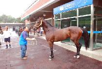 �пռ� (PAEWANGSU) ����