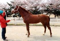 �����߱� (WONSEOK BALGUL) ����