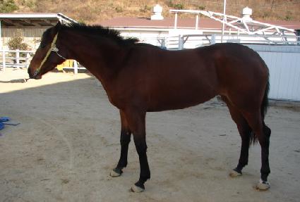 ���۲� ����