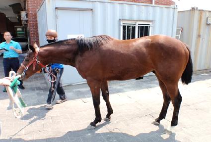 õ�ϰ��� ����