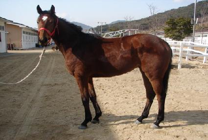 ���Ϳ��ູ ����