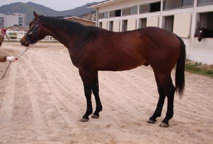 ��Ʈ�ջ��� ����