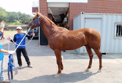 �ػ� ����