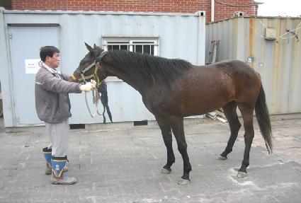 �ް���� ����