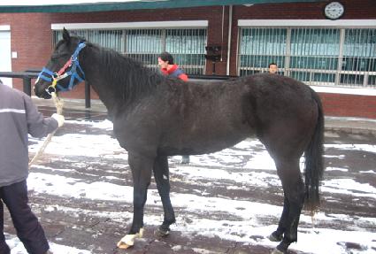 ������̽� ����