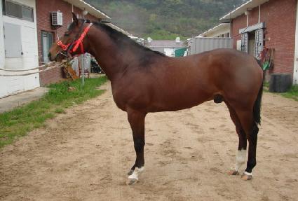 ���̽����� ����