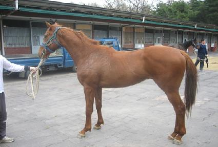 ����Ÿ�� ����