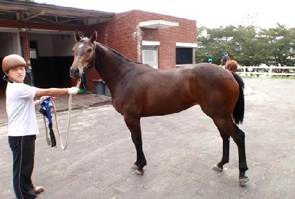 ���� ����