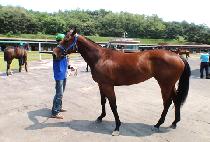 ������ (MY GEM) ����