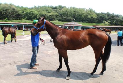 ������ ����