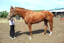 ������ (HUIMANGDAERO) ����