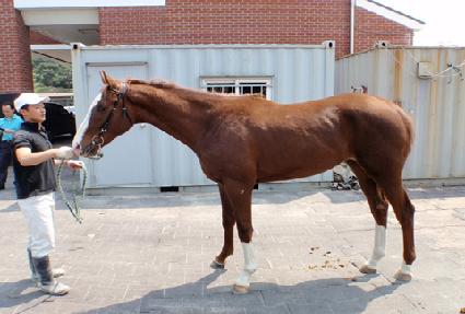 ��õŷ ����