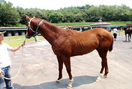 ��õ���� ����