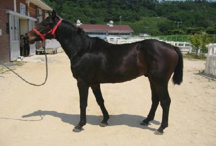 ��Űè�Ǿ� ����