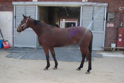 ����ι��� ����