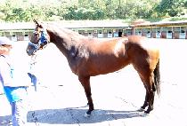 �����ٴ� (BYEOLBITBADA) ����