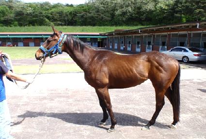 ���̵����� ����