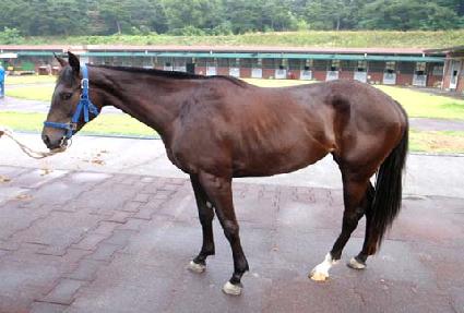 �Ӵ��� ����