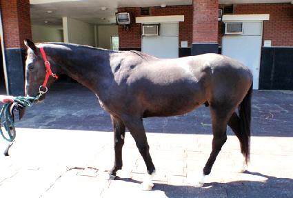 ������ǳ ����