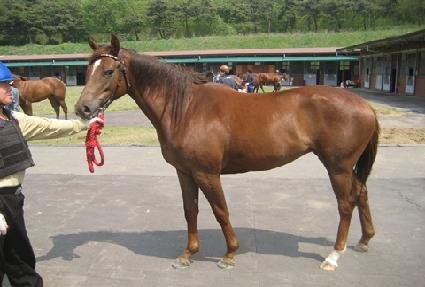 �Ѷ���� ����