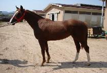 �����ְ� (SEGYE CHOEGANG) ����