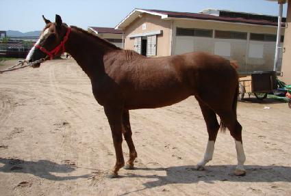 �����ְ� ����